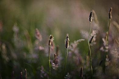 《孤岛惊魂：新曙光》即将在主机平台获得60fps更新